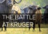 The Battle at Kruger