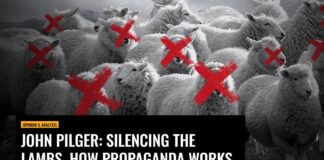 Silencing the Lambs