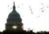 US Capital