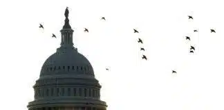 US Capital