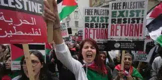 Gaza protestors