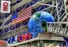 15 Reasons Why Media Don’t Do Journalism CNN