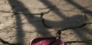 How Iran Was Set Up: A broken diplomatic wax seal lying on dry, cracked ground, symbolizing broken international agreements.